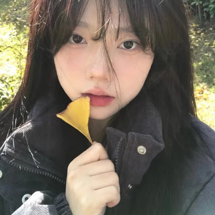红色尾翼